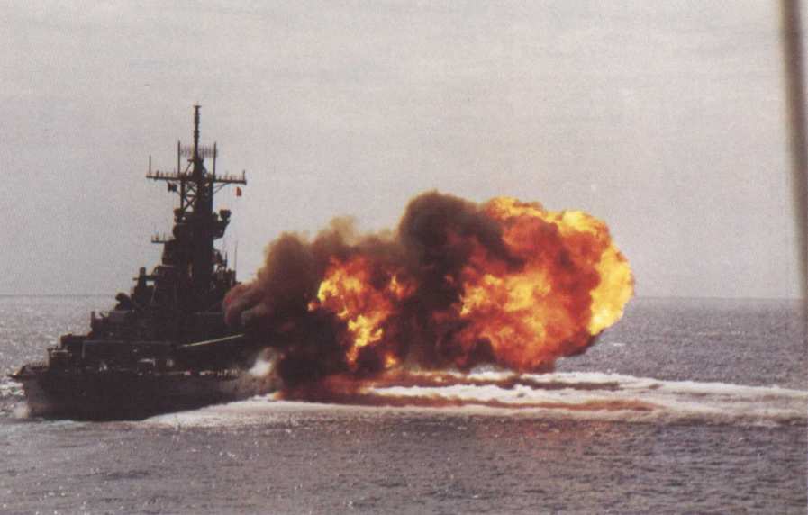 p1989_4.jpg